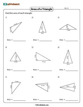 Area of Triangles | Integers (Metric) 1