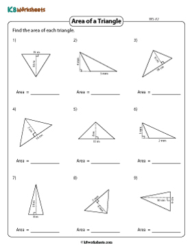 Area of Triangles | Integers (Metric) 2